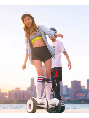 Купить Ninebot by Segway Ninebot mini S черный-5.jpg
